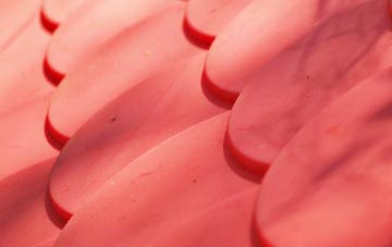 Stow Bardolph plastic roof costs